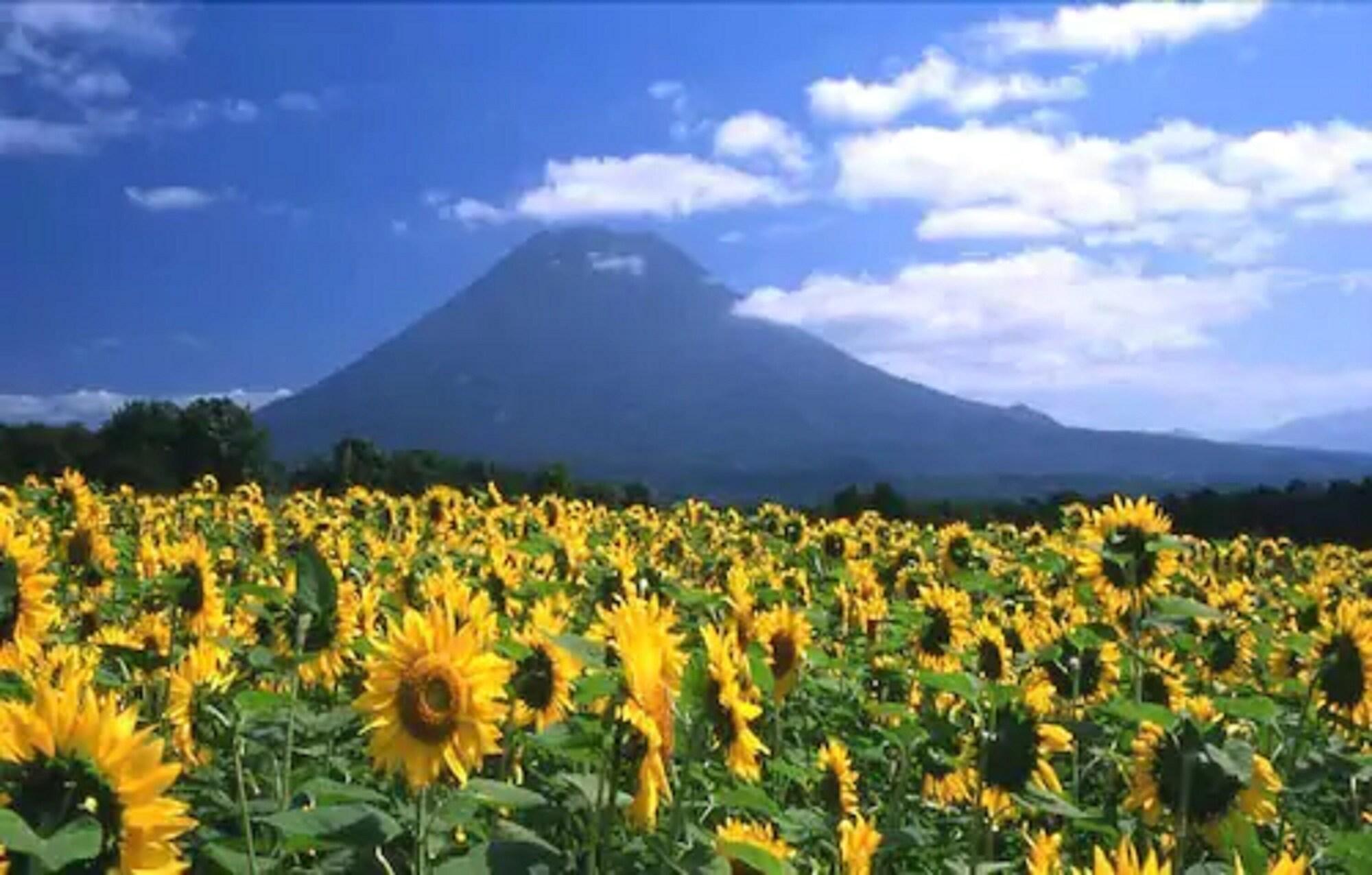 Niseko Prince Hotel Hirafutei Zewnętrze zdjęcie