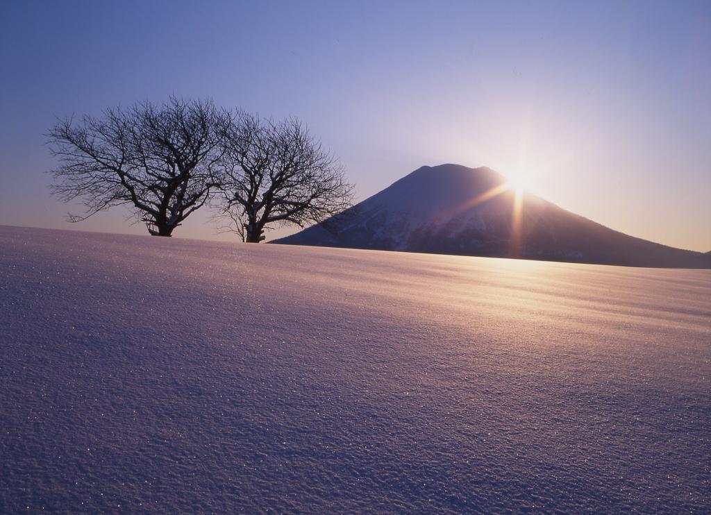 Niseko Prince Hotel Hirafutei Zewnętrze zdjęcie