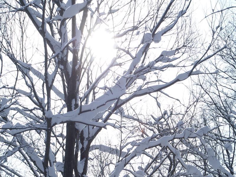 Niseko Prince Hotel Hirafutei Zewnętrze zdjęcie