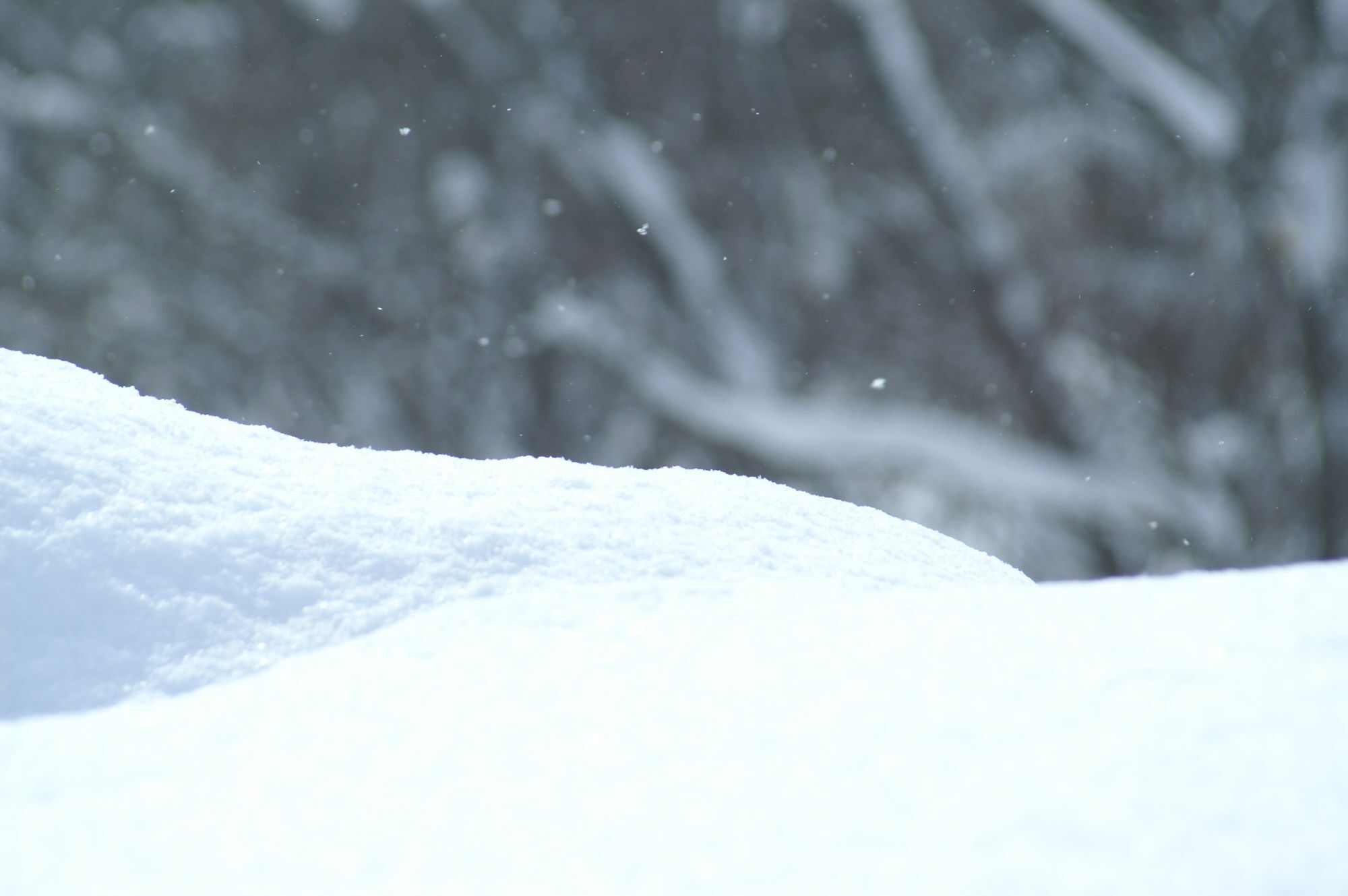 Niseko Prince Hotel Hirafutei Zewnętrze zdjęcie